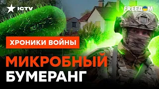 Вояк Путина ПОЖИРАЕТ ХОЛЕРА! Кремль помог ВСУ подрывом ДАМБЫ? @skalpel_ictv