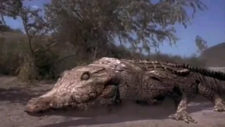 Crocodile (2000): Reptile and death scenes #3