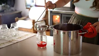 Autoproduzione - 3 Bevande Fresche x l'Estate: Ginger Beer, Tè freddo, Succo di Prugna selvatica #29