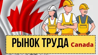 Рынок труда в Канаде. Безработица в Торонто. Зарплаты