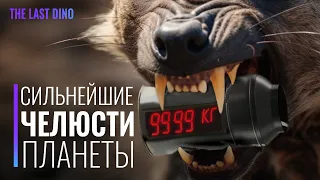 У кого Самый МОЩНЫЙ Укус за всю историю Планеты?