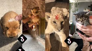 TikTok Trending challenge / The Lion King "Simba challenge" / TikTok Compilation 2022