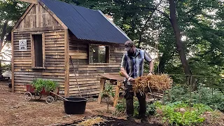 Building a Log Cabin out of Crap (Pallets) | OffGrid Cabin & Permaculture Series | EP 1