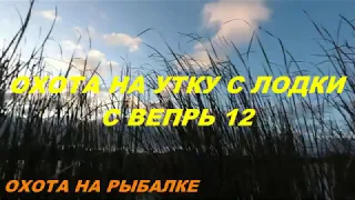 охота на утку с лодки с вепрь 12