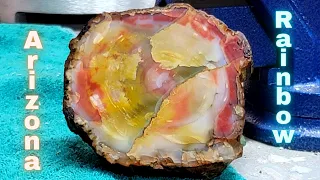 Arizona Rainbow Petrified Wood | Christmas Came Early | Mail Day #2