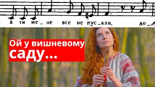 ОЙ У ВИШНЕВОМУ САДУ ноти | Сопілка