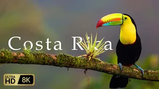 Costa Rica 8K HDR (60 fps)