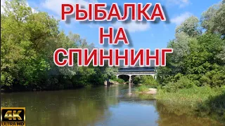 РЫБАЛКА НА СПИННИНГ НА ТАМБОВСКОЙ ЗЕМЛЕ.