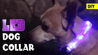 DIY LED DOG COLLAR | Make your dog visible at night