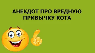 Анекдот про вредную привычку кота