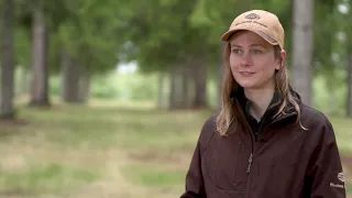 Irving Woodlands - Technology at Work in the Forest