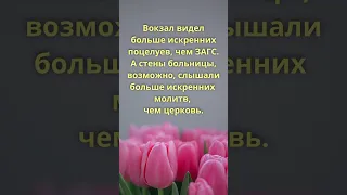 Красивые цитаты,прекрасная музыка,Простыми словами о главном, Цитаты проникающие вглубь сознания.