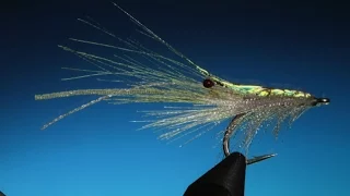 Fly Tying the Ribbon Salt Water Shrimp fly with Barry Ord Clarke