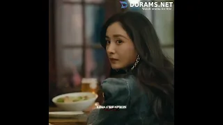 again meet🍃like strangers🌸💗||C drama🎭~She and Her Perfect Husband 👸👑 Watch on~Doramas.net