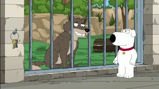 Family Guy: Brian got scammed by some wolves.