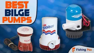 Best Bilge Pumps On The Market