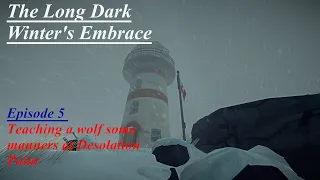 The Long Dark: Winters Embrace - Episode 5: Teaching A Wolf His Manners At Desolation Point