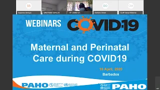 Webinar Maternal and Perinatal care during COVID 19