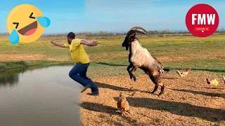 Funny & Hilarious People's Life 😂 #62 - Try not to Laugh | Funny Fails Compilation 2024