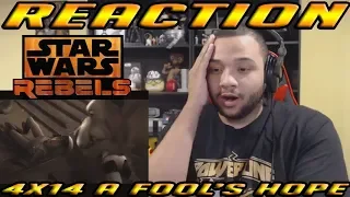 Star Wars Rebels Season 4 Episode 14 A Fool's Hope REACTION!!!