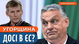 Чергові ПАКОСТІ від орбана Україні / ЖОРСТОКА боротьба з корупцією // Швець