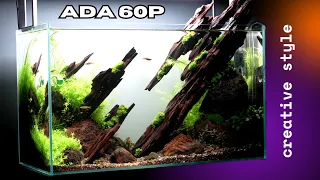 ADA 60p Aquarium (Start to finish Aquascape)