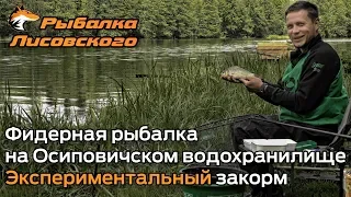 Фидер на Осиповичском водохранилище. Экспериментальный закорм