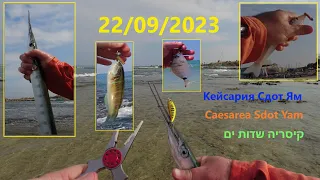 4K 22/09/2023 Caesarea Sdot Yam שדות ים Сдот Ям  fishing דיג рыбалка חניתן טלוויזיה סרגוס תוכי