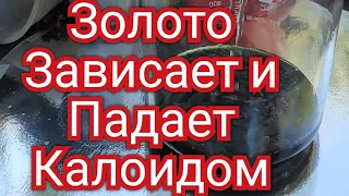 Проблемное востоновление золота. Золото зависает в растворе.Цементация раствора. Часть первая.