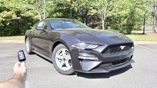 2022 Ford Mustang Ecoboost: Start Up, Exhaust, Test Drive, POV and Review