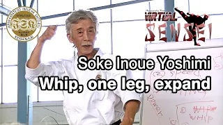 Soke Inoue Yoshimi - Whip, one leg, expand - Seminar Italy 2013