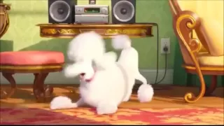 The Secret Life of Pets - Leonard Screamo Version