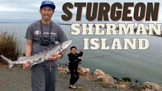 FISHING AT SHERMAN ISLAND ROAD  RIO VISTA - STURGEON