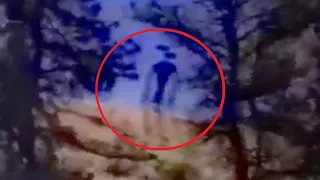 5 Siren Head Caught on Camera & Spotted in Real Life