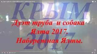 Дуэт труба 🎺 и собака 🐶 Ялта 2017. Набережная Ялты.