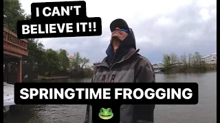 FROG Fishing for GIANT Bass in the Spring!!