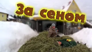 ЗА СЕНОМ//деревенские будни