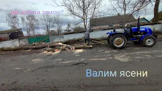 Валимо бабині ясени 😅