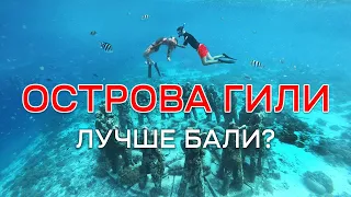 Острова Гили - полный обзор, цены, отели, снорклинг, черепахи, подводные статуи