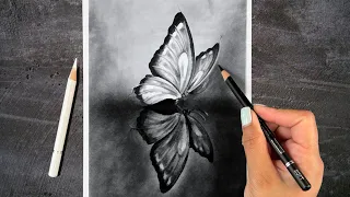 How To Draw Aesthetic Butterfly in Charcoal Pencil Step by Step
