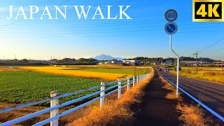 【4K Japan Walk】Japanese Countryside Walking Tour｜宮崎の田舎町を散歩｜MIYAZAKI｜Slow TV｜ 26/10/2021｜ASMR