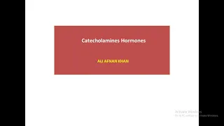 Catecholamines Hormones || Epinephrine And Norepinephrine