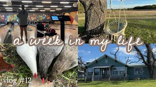 vlog #12: a week in my life - family compound spring cleaning | the worst part of owning chickens