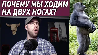 Почему мы ходим на двух ногах? Прямохождение