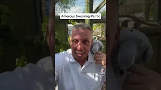 Amorous Swearing Parrot