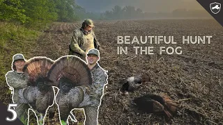 STRUTTING THROUGH THE FOG - HARD GOBBLING EASTERNS | A BUCKET LIST TURKEY HUNT OFF THE ROOST