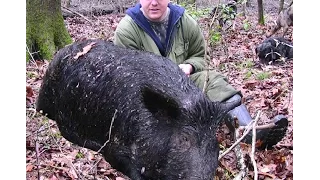 Hog Hunting   Head Shot with a 44 Magnum!