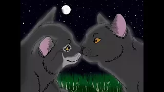 Warrior Cat Confessions (Part 2)