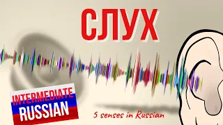 Intermediate Russian Vocabulary: Слух (words related to hearing)