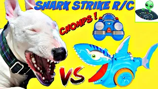 Shark Strike R/C little tikes